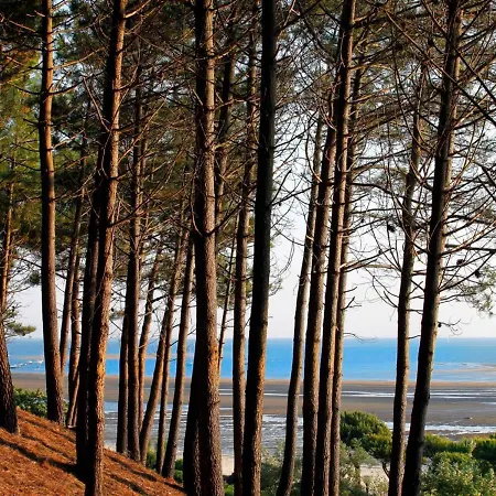 Avec Grande Terrasse Et Proximite A - Fr-1-420-125 Arcachon