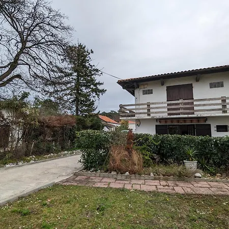 Apartment Avec Grande Terrasse Et Proximite A - Fr-1-420-125 Arcachon