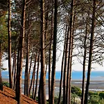 Avec Grande Terrasse Et Proximite A - Fr-1-420-125 Arcachon