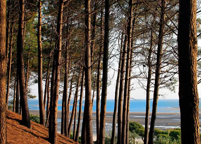 Avec Grande Terrasse Et Proximite A - Fr-1-420-125 アルカション